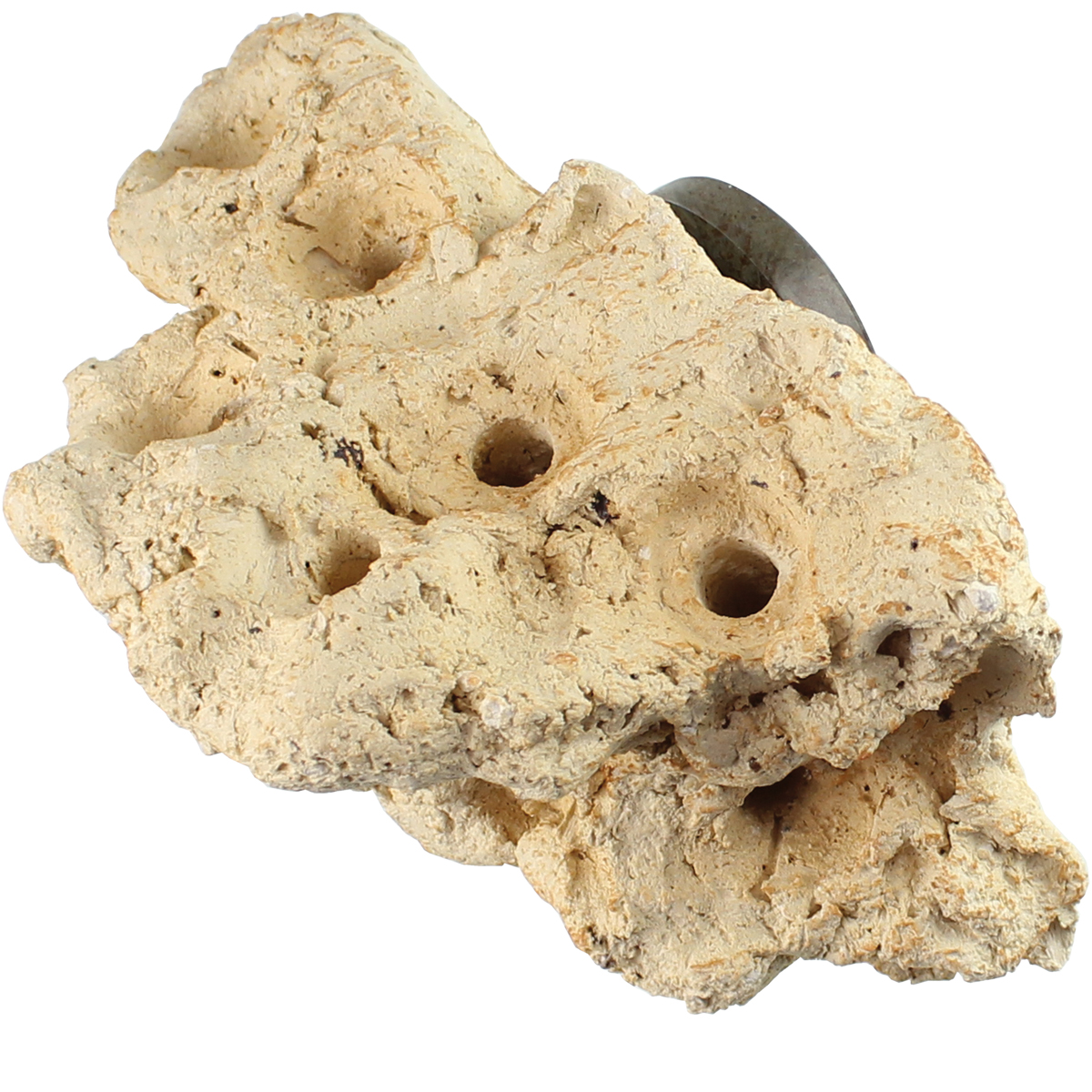 Tunze Coral Rack Nano 0104.800 Tunze Coral Rack Nano 0104.800