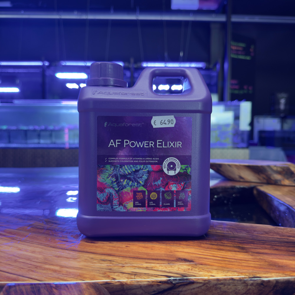 AF Power Elixier AF Power Elixier