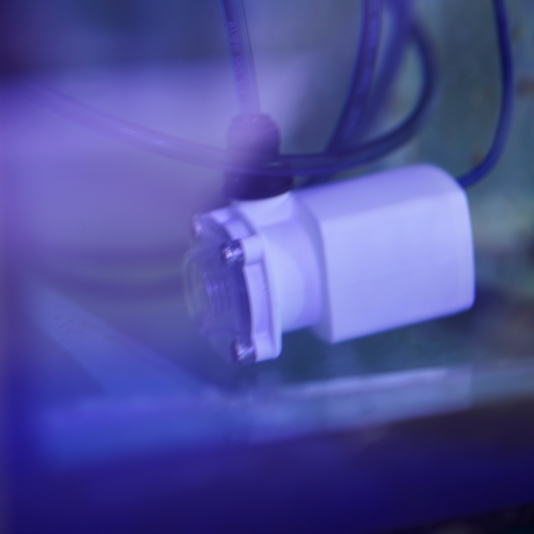 Sensor Sensoren für Meerwasseraquaristik