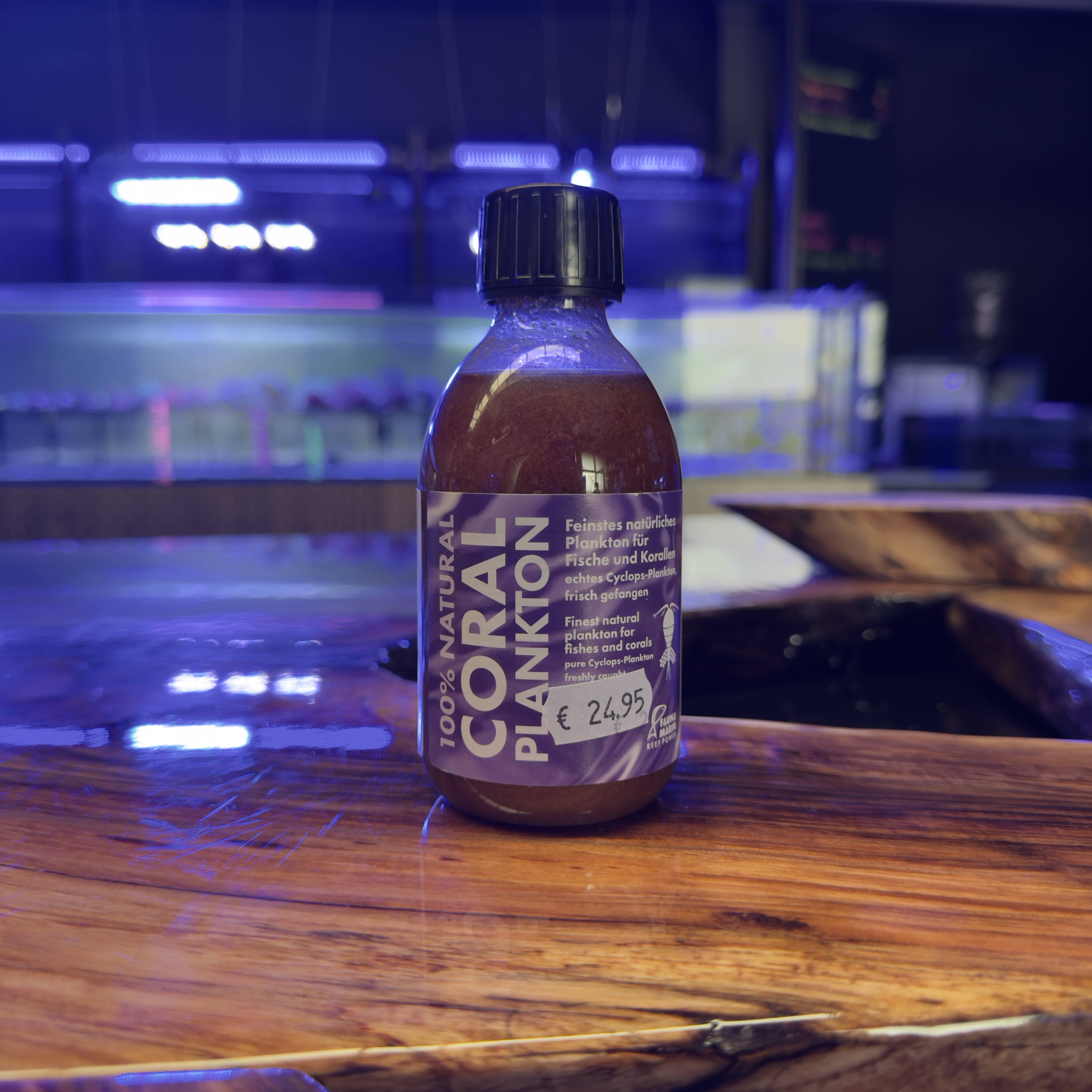 Fauna Marin Coral Plankton Fauna Marin Coral Plankton