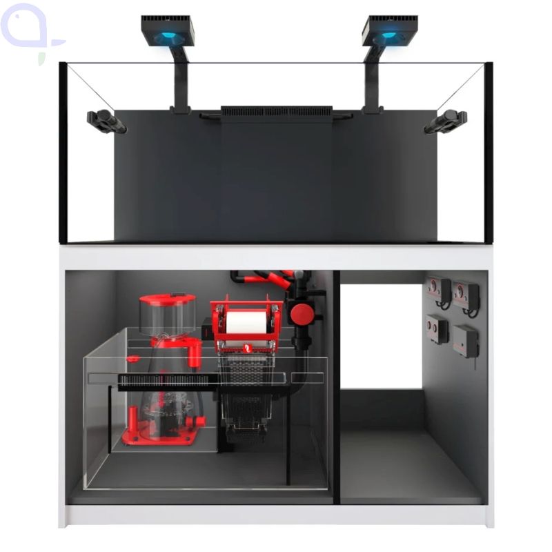 Meerwasser Becken Meerwasser Becken