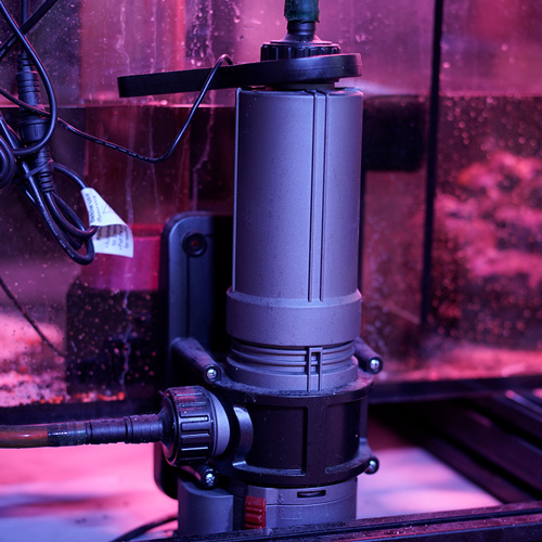 UV Klärer für Meerwasseraquarien