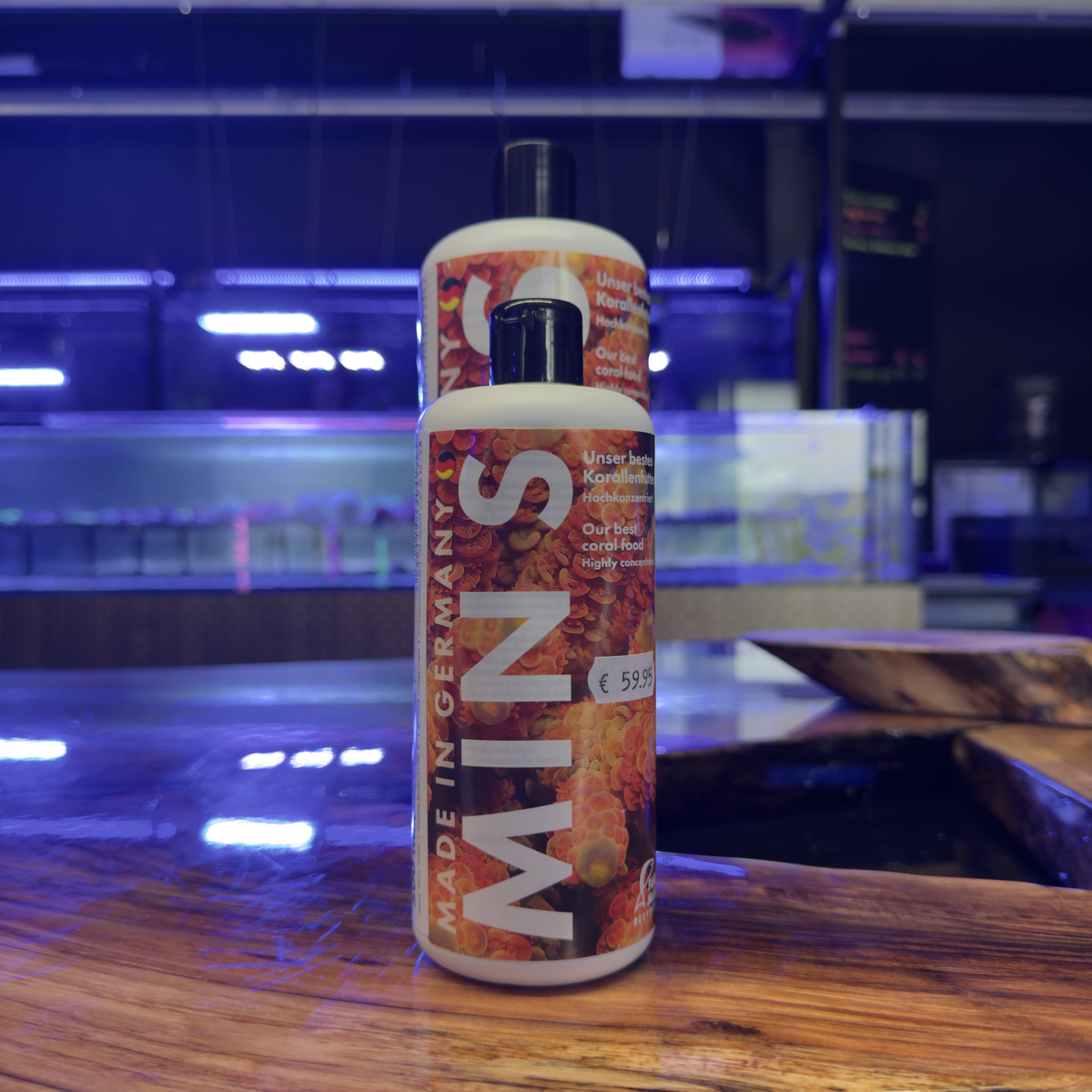 Fauna Marin Min S Fauna Marin Min S