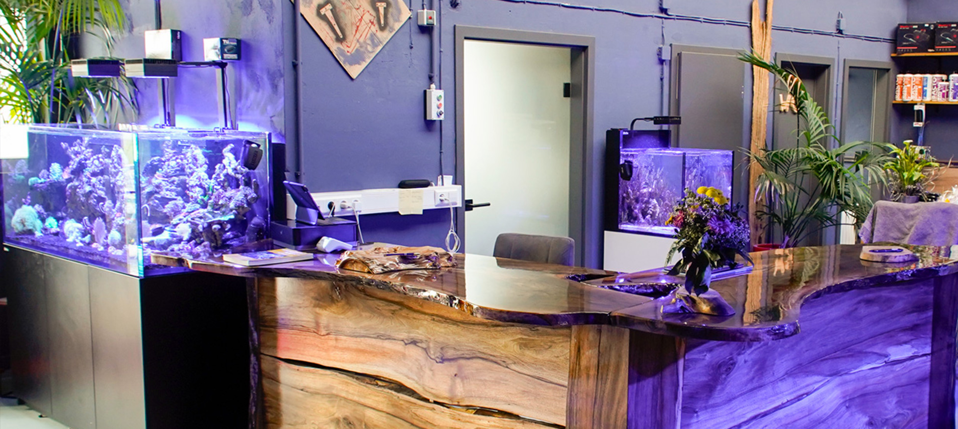 faq Innenansicht des The Marine Center – moderne Aquaristik mit Leidenschaft