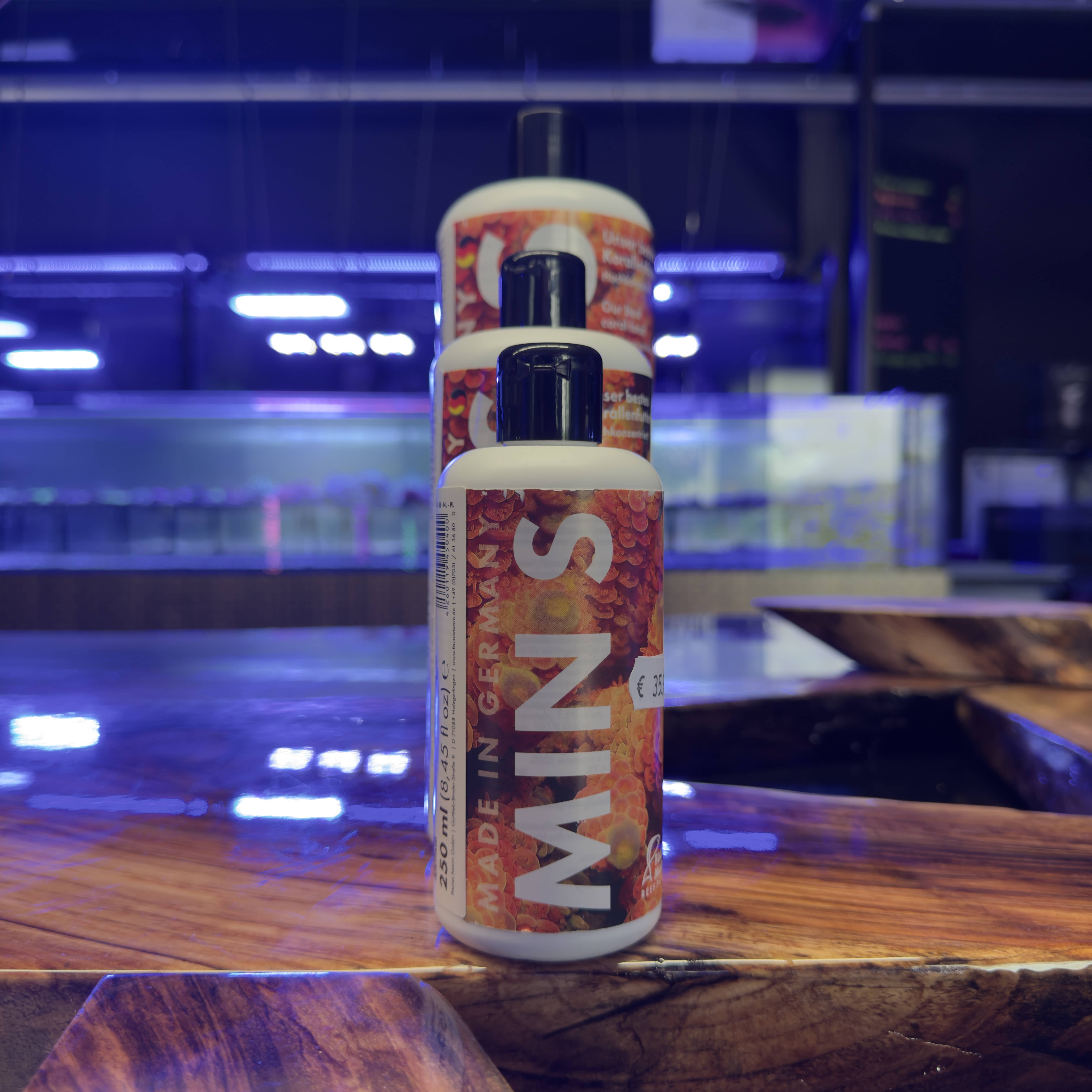 Fauna Marin Min S Fauna Marin Min S