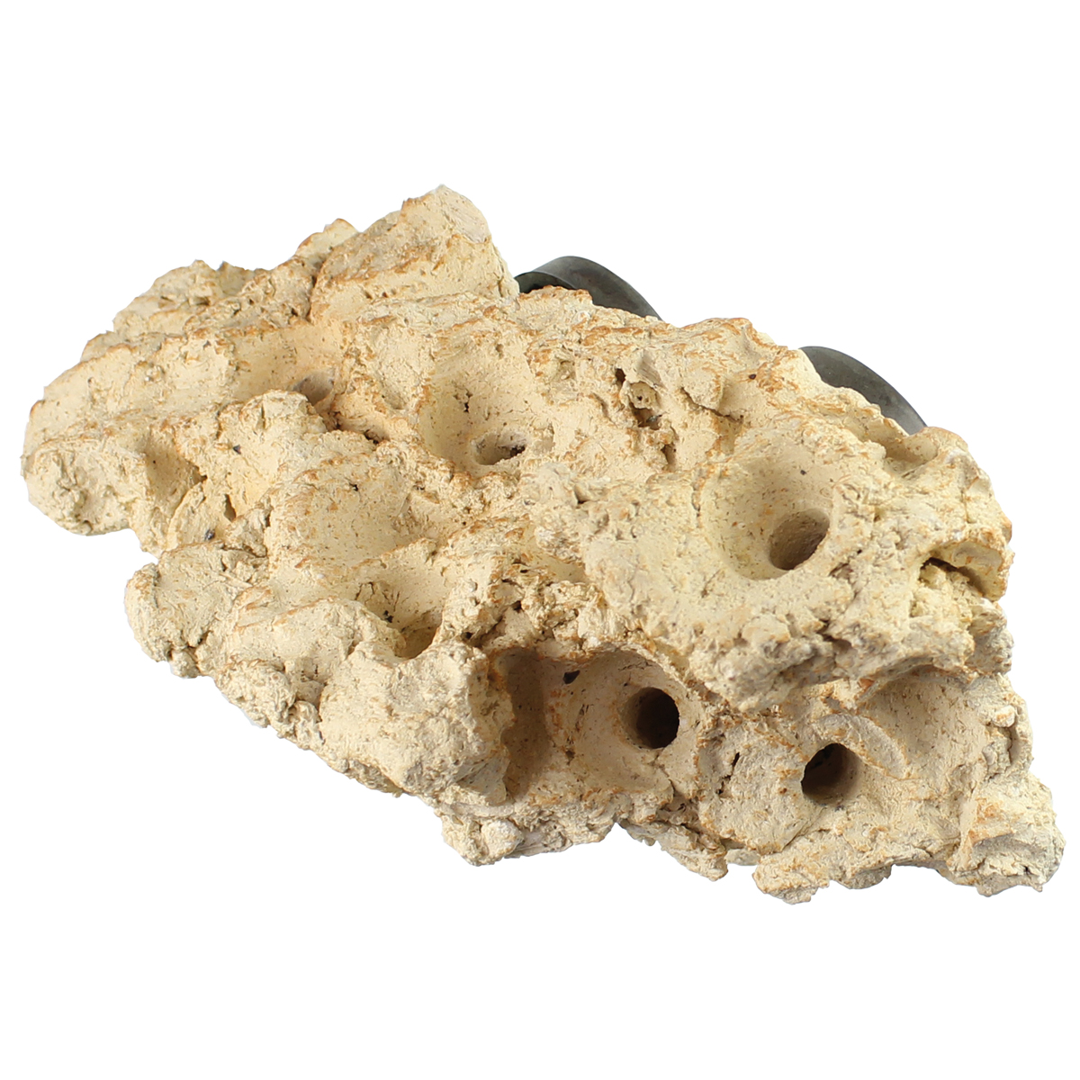 Tunze Coral Rack Long 0104.820 Tunze Coral Rack Long 0104.820