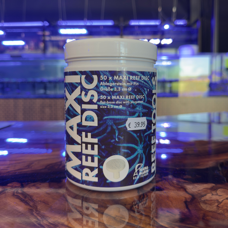 Fauna Marin Maxi Reef Disc