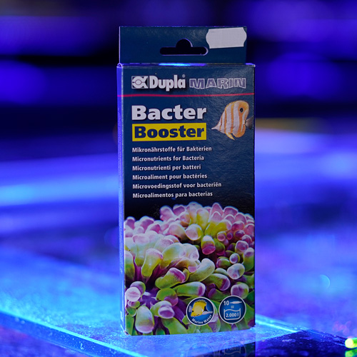 Bakterien Mikronährstoffe Bakterienfutter für Fische