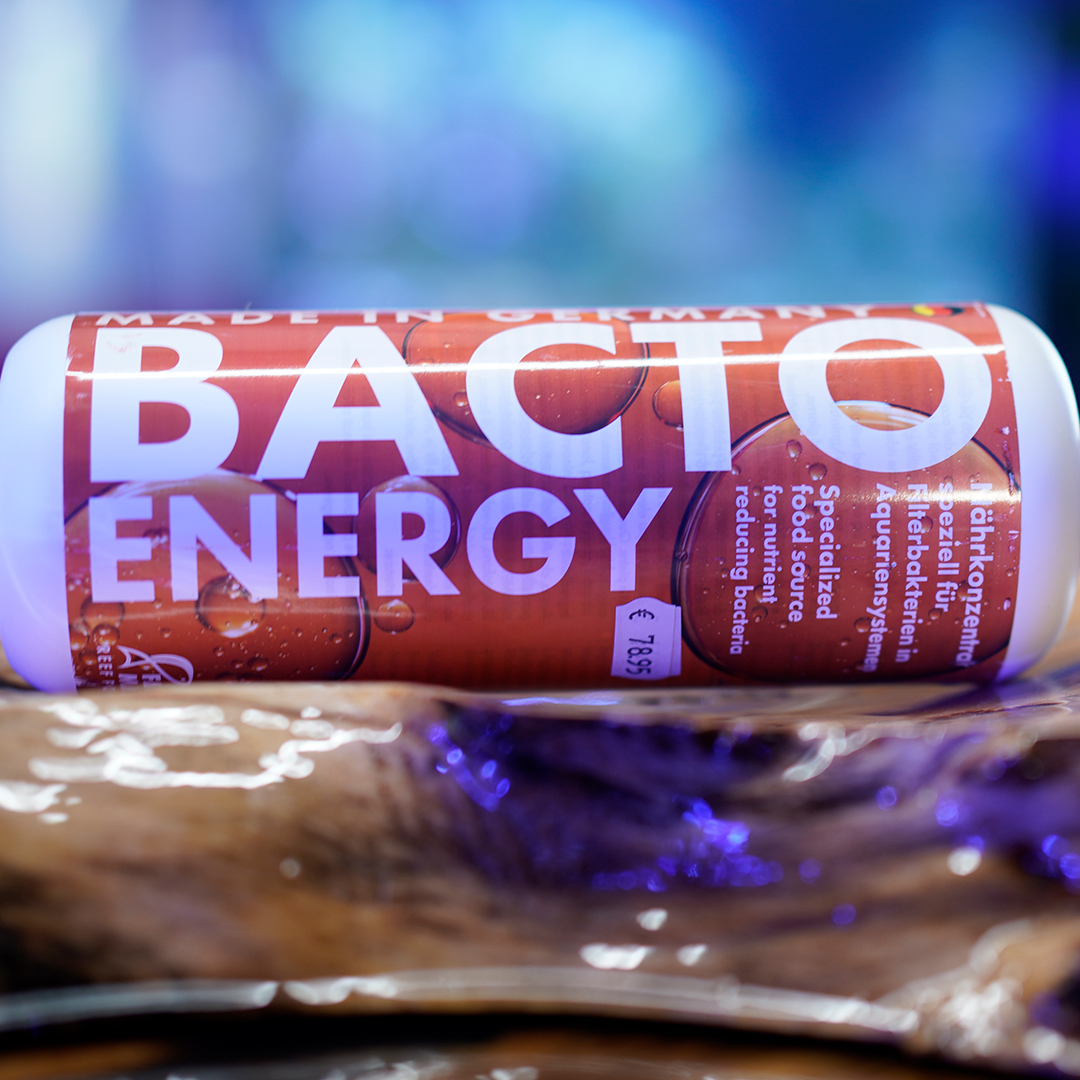 aufbereitung_bakterielle-behandlung Bakterien zur Aufbereitung im Meerwasseraquarium