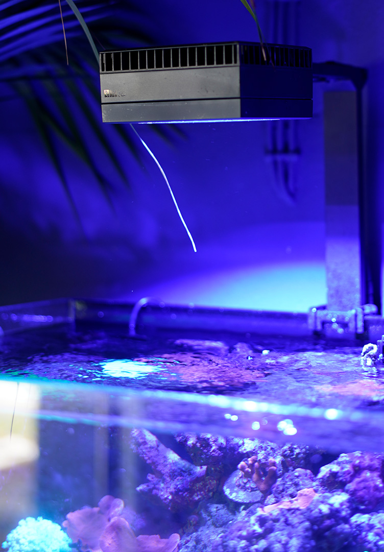 aquarienbeleuchtung_stromkosten