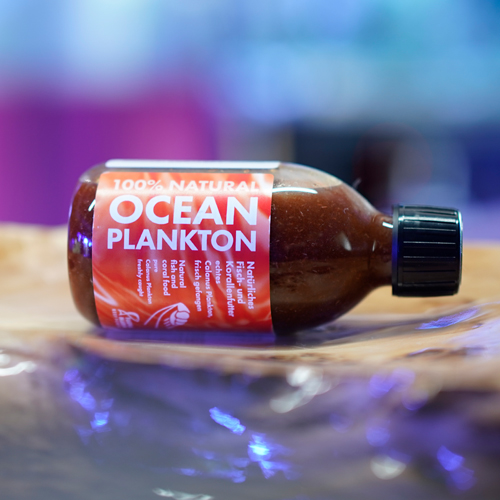 Korallen Futter Plankton